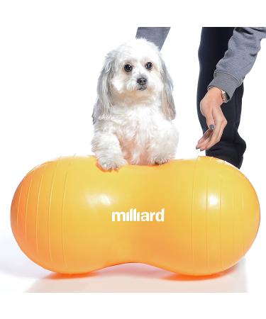 Milliard Peanut Ball Physio Roll for Exercise, Therapy, Labor, Birthing, and Dog Training - Buy Online on GoSupps.com