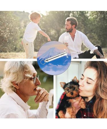 Riquie Spring Ear Wax Cleaner Tool - Portable Stainless Steel Earwax Removal Kit - 7-in-1 Ear Spoon with Brush - Key Chain Storage - Silver - Buy Online on GoSupps.com