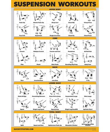 Buy Palace Learning Exercise Poster Set - Dumbbell Resistance Bands & More | International Shipping - Buy Online on GoSupps.com