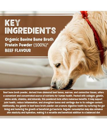 NUTRIBONE Bone Broth Powder for Pets - High Protein Supplement for Gut Joint and Coat Health - Non-GMO Organic Bone Broth for Dogs Beef Flavour-250g Pack Beef 250 g (Pack of 1) - Buy Online on GoSupps.com