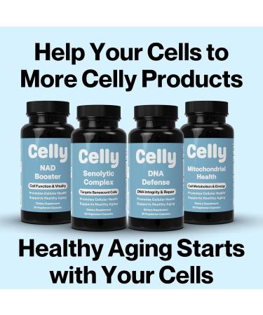 Celly Trans-Resveratrol 400mg | Longevity Supplement for Healthy Aging and Cellular Health | High Absorption for Maximum Benefit | 30 Servings | Non-GMO & 3rd Party Tested - Buy Online on GoSupps.com