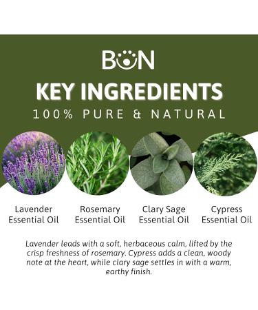 Best of Nature Memory Essential Oil Blend 100% Pure for Diffuser Aromatherapy & Focus Herbal Refreshing Scent with Lavender Rosemary Cypress & Clary Sage - Buy Online on GoSupps.com