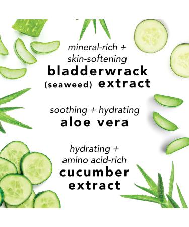 Buy Mario Badescu Facial Spray with Aloe Cucumber & Green Tea - Hydrating Face Mist for All Skin Types (8 Fl Oz + 4 Fl Oz) - International Shipping - Buy Online on GoSupps.com