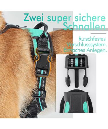 Rabbitgoo No-Pull Adjustable Dog Harness for Medium Dogs - Breathable Control Harness with Reflex Stripes - Safe & Comfortable Mint Green (1 Pack) - Buy Online on GoSupps.com