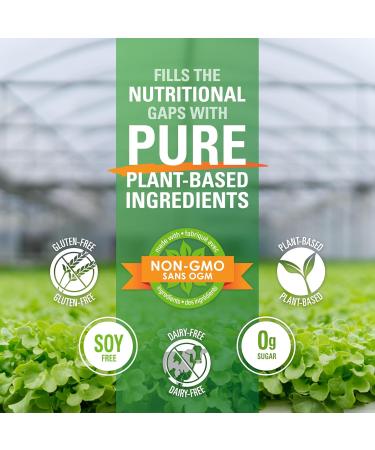 Vegan Pure All In One Nutritional Shake (Chocolate) 432g. Plant based protein. - Buy Online on GoSupps.com