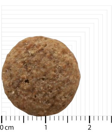 Bozita Dog Original Adult Classic 12 kg - Buy Online on GoSupps.com