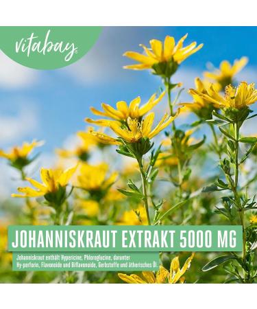 Vitabay St. John's Wort Extract 5000 mg - 120 Vegan Capsules | High Dose Hypericin | Made in Germany | Natural Mood Support - Buy Online on GoSupps.com