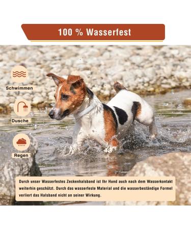 Animal Vita Tick Collar for Small Dogs | 100% Natural | 8 Months Tick Protection - Shop Now! - Buy Online on GoSupps.com