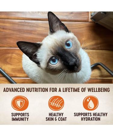 Wellness CORE Tiny Tasters Wet Cat Food - Real Meat, Complete & Balanced, 12 Pack Sea Variety Pack - Flaked, Minced, & Pate Recipes, 1.75 oz Pouches - Buy Online on GoSupps.com