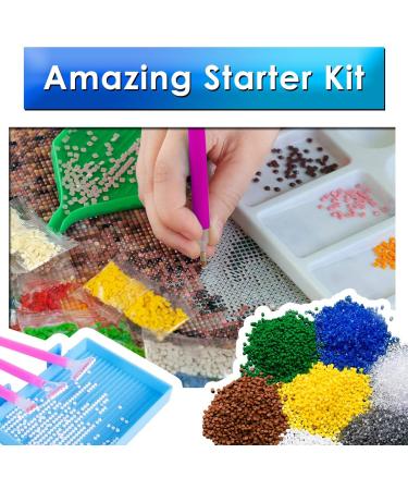 Zoncolor Diamond Painting Kit - Complete Kit with Storage Containers for Children and Adults - Includes 28 Grids Storage Box, Storage Bag, Diamond Gems, Drill Point Pen, Trays Holder, Beads Organizers Kits - Buy Online on GoSupps.com
