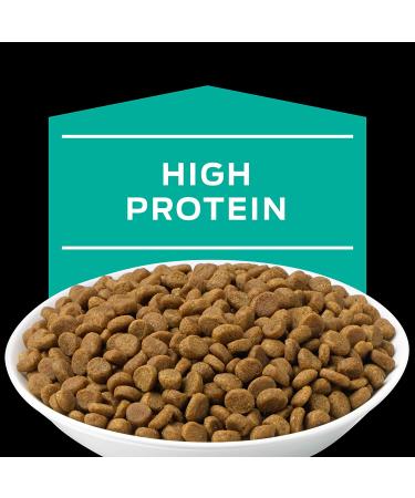 Purina Pro Plan EN Gastroenteric Naturals Feline Dry Cat Food - 6 lb Bag - Buy Online on GoSupps.com
