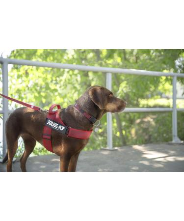 Julius-K9 Red-Grey Belt Harness L/1 | High-Quality Pet Gear for International Shipping - Buy Online on GoSupps.com