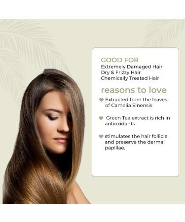 Silky TECHNOBASIC.04 Hair Repair Shampoo 250ml | Argan Oil Vegan & Cruelty-Free | Sulfate-Free for Chemically Damaged Hair - Buy Online on GoSupps.com