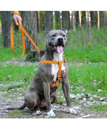 Buy Collardirect Adjustable Reflecting Dog Harness - Sizes S M L - Outdoor Walks for Dogs & Puppies - Available in Pink Black Red Purple Mint Green Orange Blue - Buy Online on GoSupps.com