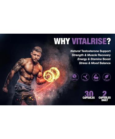 Vital Rise Testosterone Supplement for Men Advanced Testosterone Booster with Fenugreek & Ashwagandha - Workout Muscle Builder Strength Energy Performance Vegan 30 Capsules - Buy Online on GoSupps.com