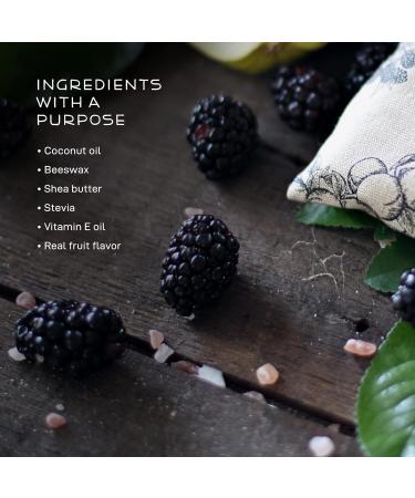 Farmstead Apothecary Organic Boysenberry Vanilla Lip Balm - 100% Natural with Beeswax, Shea Butter, & Coconut Oil (0.2oz, Pack of 2) - Buy Online on GoSupps.com