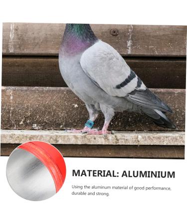 FRCOLOR 400 pcs Birds Pigeons Accessory Marker and Mixed Leash Leg Finch Thigh Ctr Bands- 1.1x0.8cm x4pcs Colorfulx4pcs - Buy Online on GoSupps.com