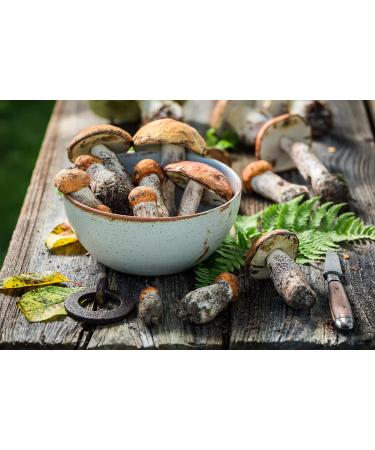 Tealdi Porcini Cream - Authentic Italian Spread 80g | International Shipping Available - Buy Online on GoSupps.com