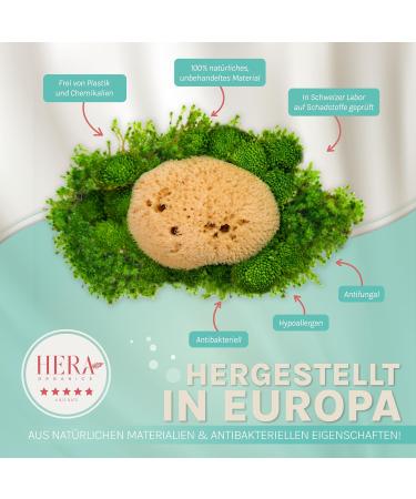 Hera Organics Menstrual Sponge - Natural Reusable Alternative to Soft Tampons | 3 Pieces (Medium) - Buy Online on GoSupps.com