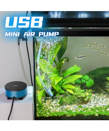 Boxtech Mini Aquarium Air Pump - Oxygen Ventilation Bubbler Kit for 1.5-7 Gallon Fish Tanks with Air Stone & Hose - Buy Online on GoSupps.com