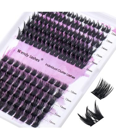 Cluster Lashes D Curl K004/K010 Eyelashes Individual 0.07mm 12-16mm Individual Lashes Mixed Cluster Eyelash Extensions Soft Fluffy DIY Lash Extensions Wendy Lash Clusters(K004/K010-D-MIX12-16) RR-12-16mm K004+K0100.07D
