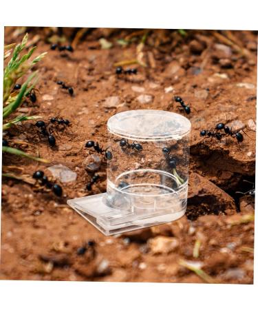 Toddmomy Pet Water Feeder Ant Water Drinking Cup Ant Watering Cup Ants Waterer Ant Feed Bowl to Feed Animal - Buy Online on GoSupps.com