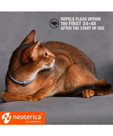 6-Month Natural Flea & Tick Collar for Cats - Effective Prevention & Safe Treatment - Anti-Flea & Tick Essential Oil Repellent - Buy Online on GoSupps.com