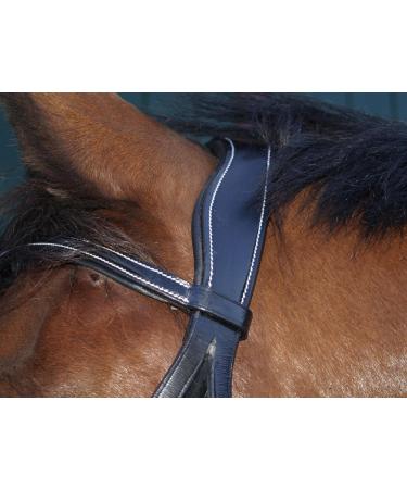 Shop Bridle Brilon X Noseband - Full Coldblood Extra Large Black Soft Leather | Tysons XX Full - International Shipping Available - Buy Online on GoSupps.com