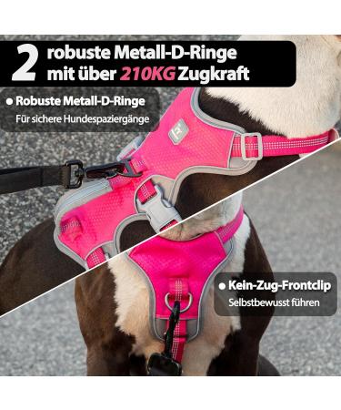 Buy Huntboo Dog Safety Dishes & Harness for Small Dogs - Reflective Waterproof Adjustable Vest in Rose Red - Buy Online on GoSupps.com