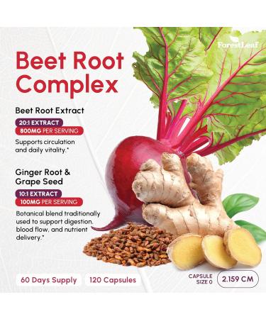 ForestLeaf USDA Organic Beet Root Capsules - Beetroot Supplement 16000 mg Strength 20:1 Extract w/Ginger Grape Seed - Support Blood Pressure Nitric Oxide Flow Circulation - Made in USA - 120 Caps 120 Count (Pack of 1) - Buy Online on GoSupps.com