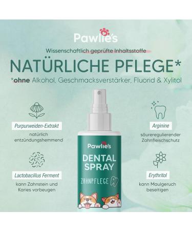 Pawlie's Dental Spray for Dogs | Natural Tartar Remover & Bad Breath Care | Vegan Sugar-Free Tooth Spray for Healthy Muzzle Hygiene - Buy Online on GoSupps.com