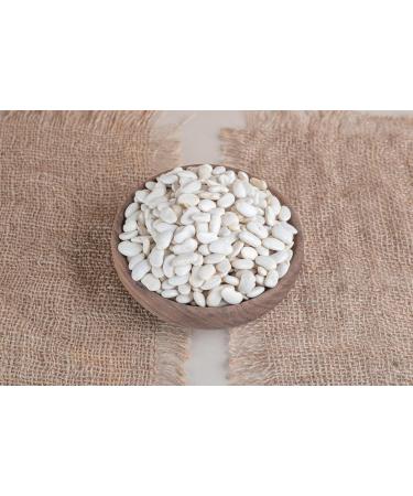 Buy White Dried Beans (10KG) - Premium Legumes for International Shipping - Buy Online on GoSupps.com