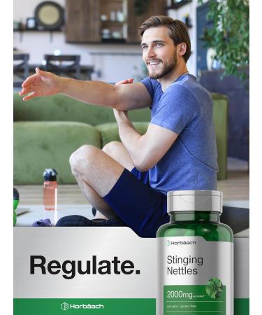 Horb ach Stinging Nettle Leaf Extract 2000mg | 150 Capsules | Non-GMO Gluten Free Herbal Supplement - Buy Online on GoSupps.com