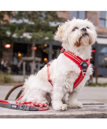 DOG Copenhagen Comfort Walk Air Harness - Size L, Black | Breathable and Durable - Buy Online on GoSupps.com