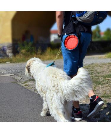 PhoneNatic Foldable Silicone Dog Bowl - XL Travel Bowl for Dogs & Cats - 1000ml Orange with Carabiner - Buy Online on GoSupps.com