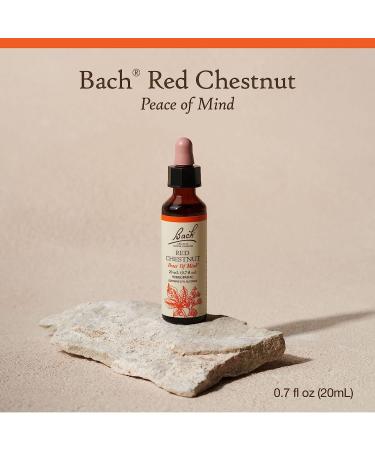 Bach Red Chestnut Flower Essence 20mL Dropper - Holistic Stress Relief & Peace of Mind | Vegan & Natural Homeopathic Remedy - Buy Online on GoSupps.com