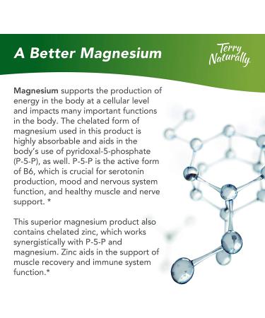 Terry Naturally BioActive Magnesium Complex (2 Pack) - 60 Vegan Capsules - Supports Heart Health with Vitamin B6, Zinc, and Magnesium - 120 Servings - Buy Online on GoSupps.com