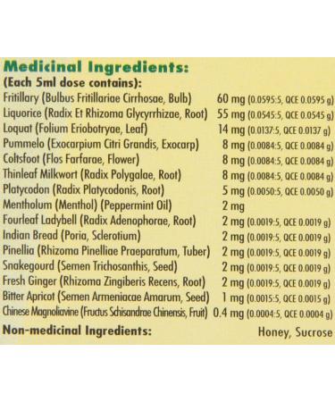 Ninjiom Herbal Cough Syrup - Natural Relief for Coughs | International Shipping Available - Buy Online on GoSupps.com