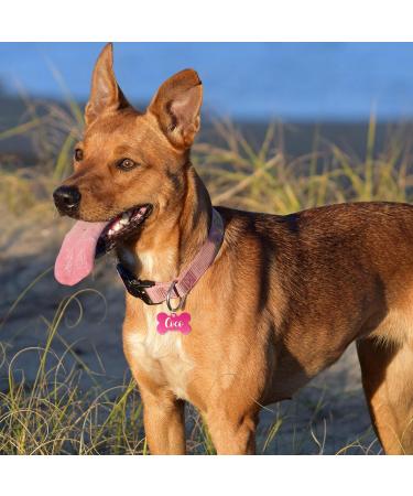 Trimming Shop Personalised Dog Tags for Pet ID Tags Engraved Any Name & Text Dog Collar Bone Dog Tag Dog Identification Collar Name Tag with Split Ring - Royal Blue - Buy Online on GoSupps.com