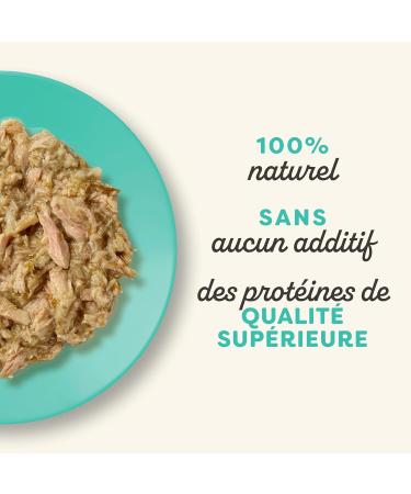 Applaws - Natural - Wet food for adult cats - Tuna fillet and anchovies in broth - 12 pouches of 70 g - Buy Online on GoSupps.com