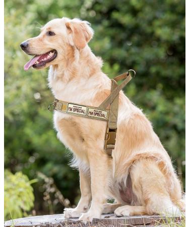 Eeyfarog No Pull Dog Harness for Small & Medium Dogs - Adjustable Reflective Safety Brown - Perfect Gear for Training & Comfort - Buy Online on GoSupps.com