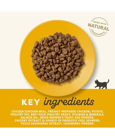 Applaws Complete and Grain Free Dry Kitten Food Kitten Chicken for all Cats 2 kg Bag (Pack of 1) Kitten Chicken 2 kg (Pack of 1) - Buy Online on GoSupps.com