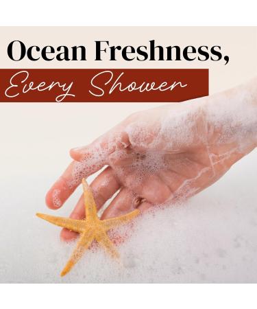 417 Dead Sea Cosmetics Fresh Moisturizing Shower Gel - Anti-Aging and Nourishing Delicate Daily Body Shower Gel for Instantly Soft Skin - with Aloe Vera - All Natural 11.8 oz - Buy Online on GoSupps.com