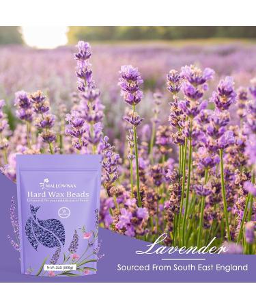 Mallowwax Lavender Hard Wax Beads 2LB - Natural & Hypoallergenic Formula for Hair Removal - Ideal for Sensitive Areas - At-Home Use - Buy Online on GoSupps.com