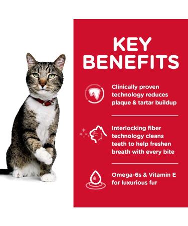 Hill's Science Diet Adult Oral Care Cat Food Chicken Recipe Dry Cat Food for Dental Health 3.5 lb Bag 1.59 kg (Pack of 1) Adult | Chicken - Buy Online on GoSupps.com
