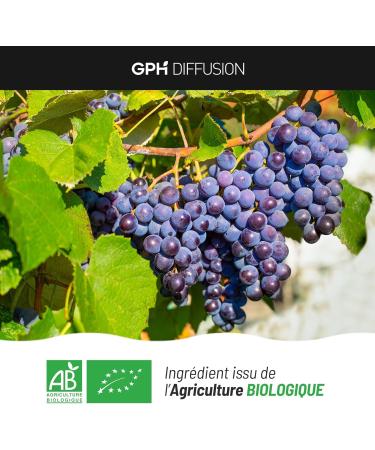 Organic Grape Marc - 250mg - 200 Vegetable Capsules - Buy Online on GoSupps.com