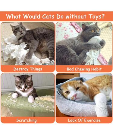 ETEKYER Catnip Toys for Indoor Cats - Interactive Chew Toys with Catnip - Multi-color Cat Pillow Toy for Kitten Kitty - Buy Online on GoSupps.com