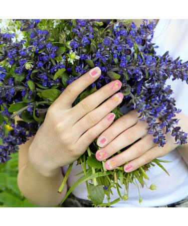 FRCOLOR 5 Boxes Children's False Nails Sparkle Stickers Girl Stickers Kids Fake Fingernails Cartoon Fake Nails Short Halloween Decor Cartoon Nail Art Patches Full Coverage Abs 3d Supplies - Buy Online on GoSupps.com