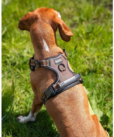 Buy Lionto Padded Anti-Pull Dog Harness - Reflective & Adjustable Safety Harness in Brown Size S - International Shipping Available - Buy Online on GoSupps.com