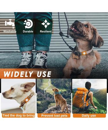 Orange Yellow Airtag Dog Collar - Silicone Cover for GPS Tracking - Anti-Loss & Safety Accessory for Pets - Buy Online on GoSupps.com